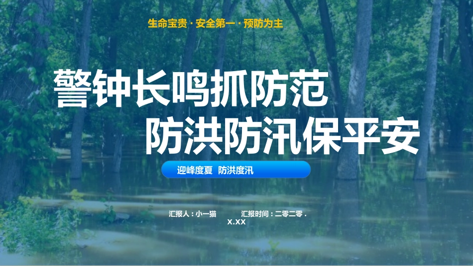 防洪防汛保平安.pptx_第1页