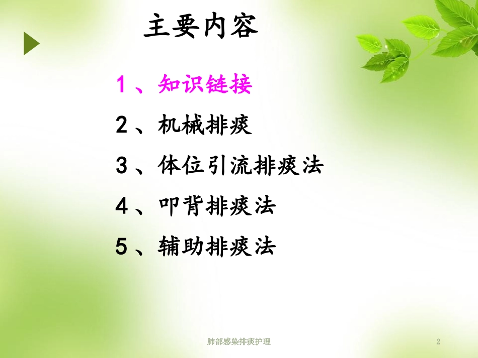 肺部感染排痰护理培训课件.pptx_第2页