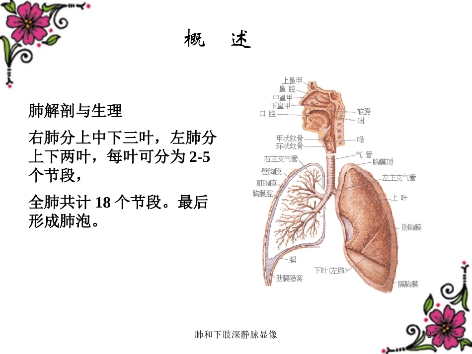 肺和下肢深静脉显像培训课件.pptx_第2页