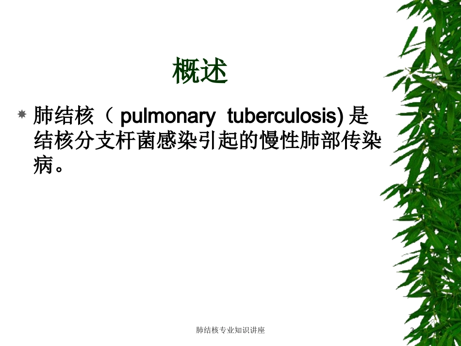 肺结核专业知识讲座培训课件.pptx_第3页