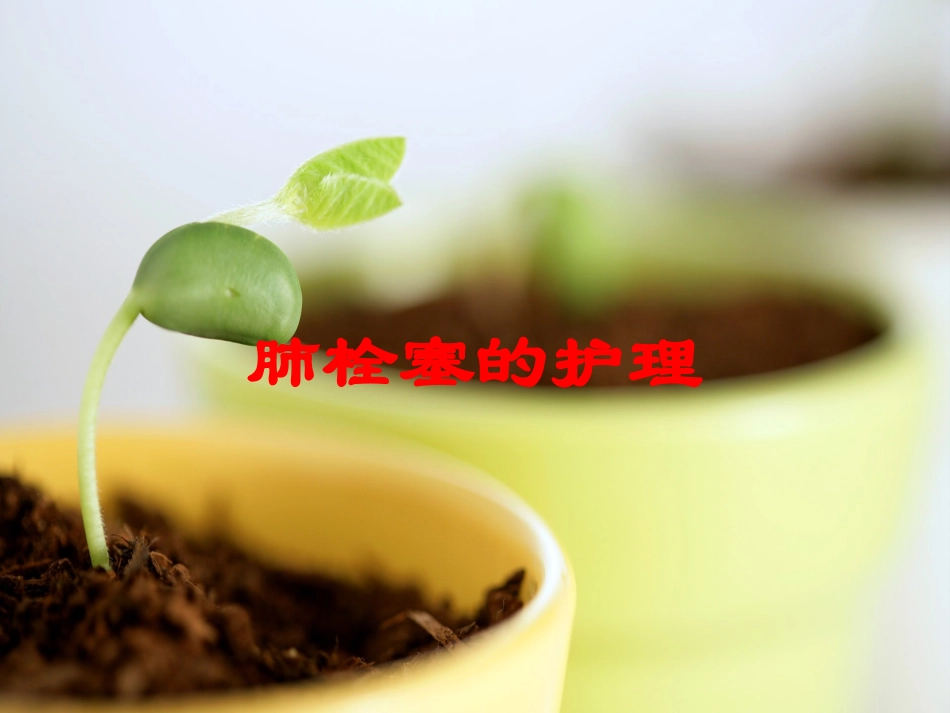 肺栓塞的护理培训课件.pptx_第1页