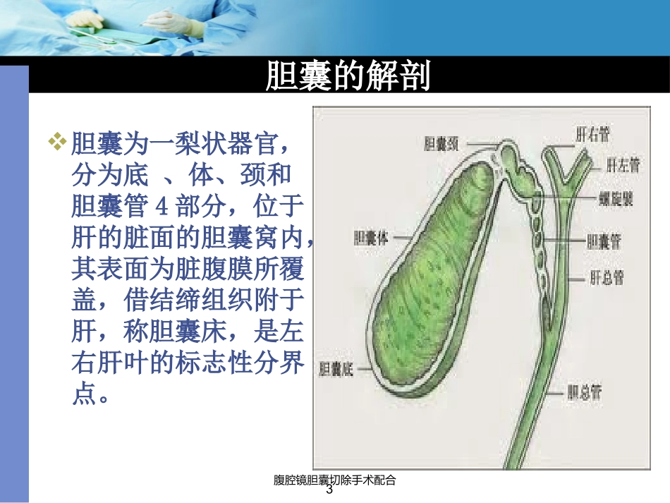 腹腔镜胆囊切除手术配合培训课件.pptx_第3页