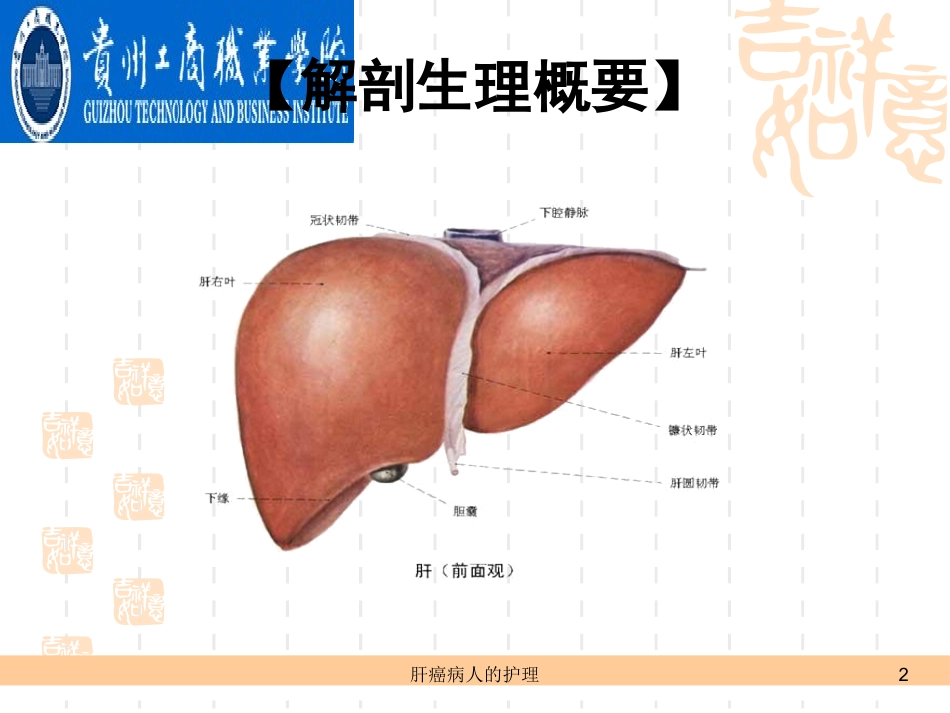 肝癌病人的护理培训课件.pptx_第2页