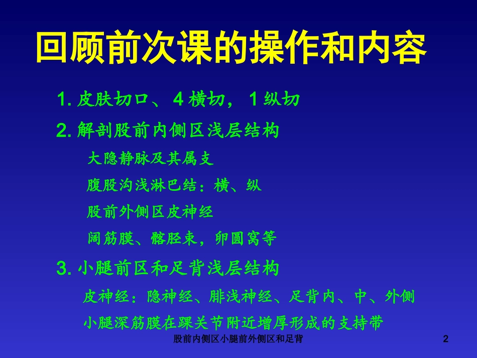 股前内侧区小腿前外侧区和足背培训课件.pptx_第2页