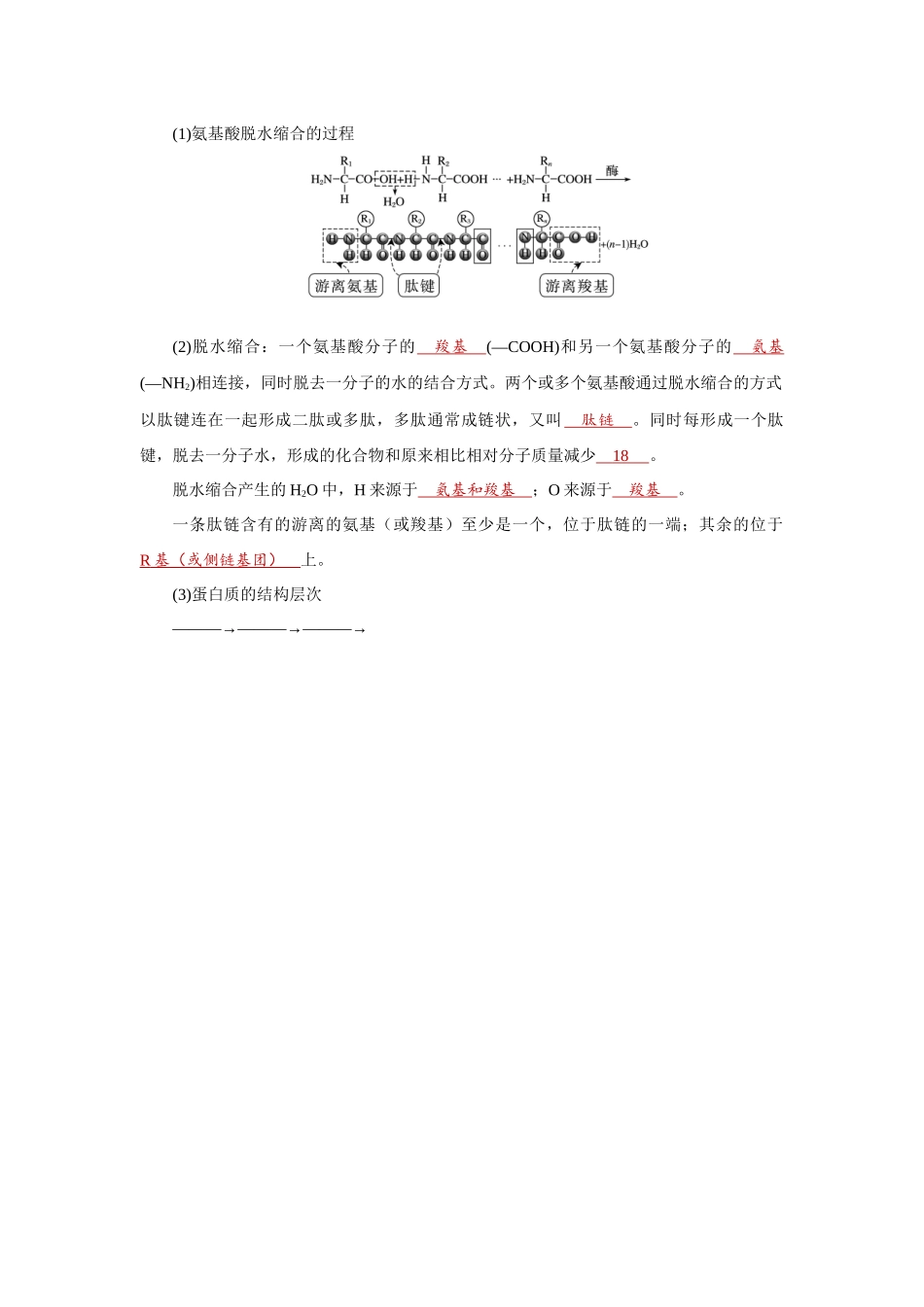 2026届学海导航高考一轮总复习生物教师用-专题1 第3讲　蛋白质和核酸.docx_第2页