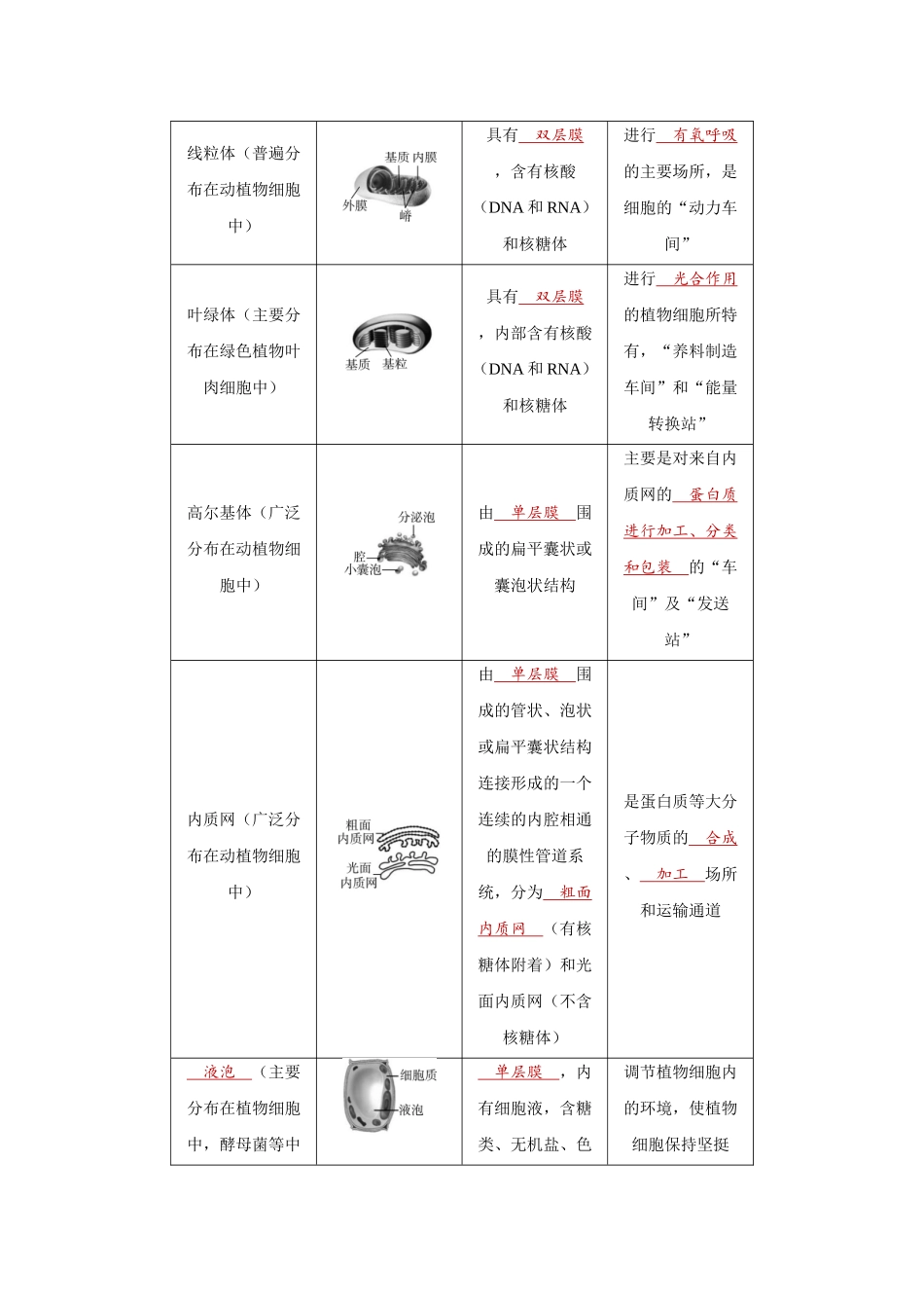 2026届学海导航高考一轮总复习生物教师用-专题2 第2讲　细胞器和生物膜系统.docx_第2页