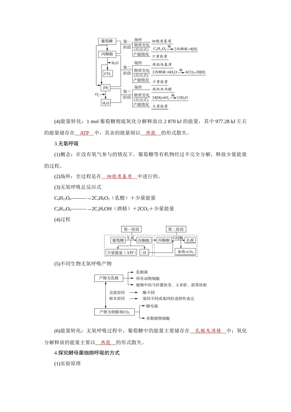 2026届学海导航高考一轮总复习生物教师用-专题3 第2讲　细胞呼吸.docx_第2页