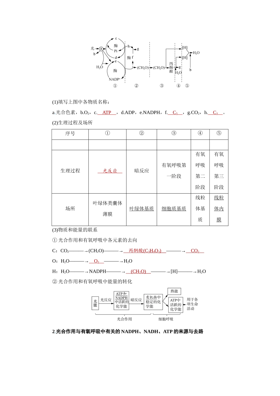 2026届学海导航高考一轮总复习生物教师用-专题3 第4讲　光合作用的影响因素及其与呼吸作用的关系.docx_第3页