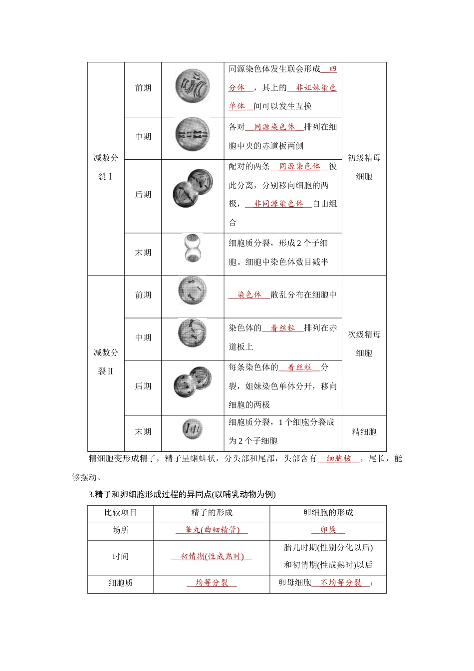2026届学海导航高考一轮总复习生物教师用-专题4 第2讲　细胞的减数分裂和受精作用.docx_第2页
