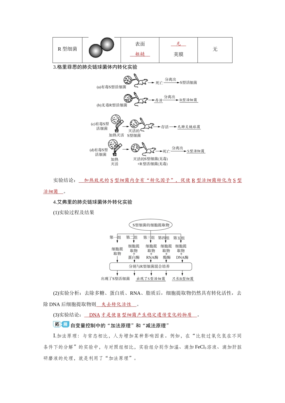 2026届学海导航高考一轮总复习生物教师用-专题6 第1讲　DNA是主要的遗传物质.docx_第2页