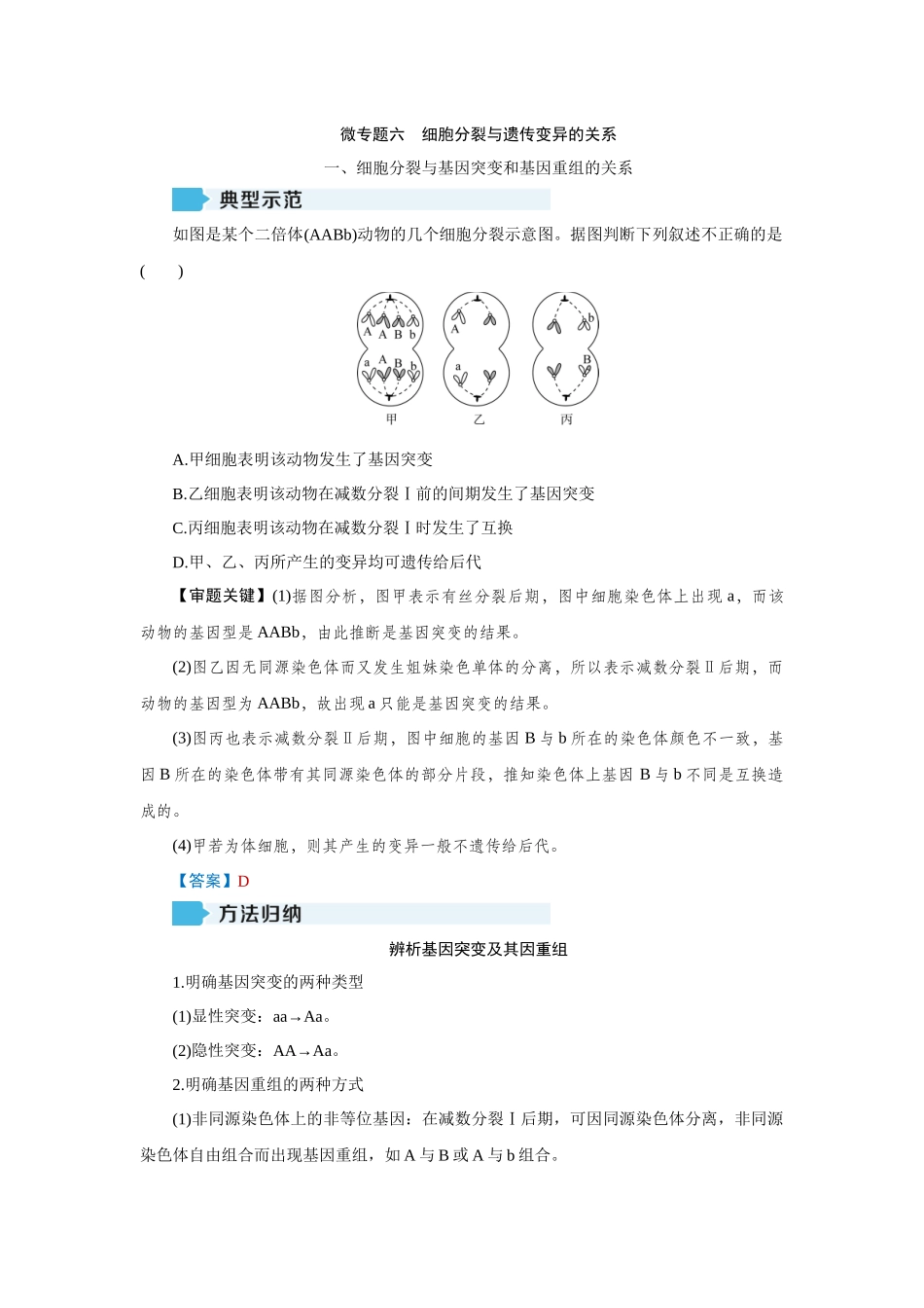 2026届学海导航高考一轮总复习生物教师用-专题7 微专题六　细胞分裂与遗传变异的关系.docx_第1页