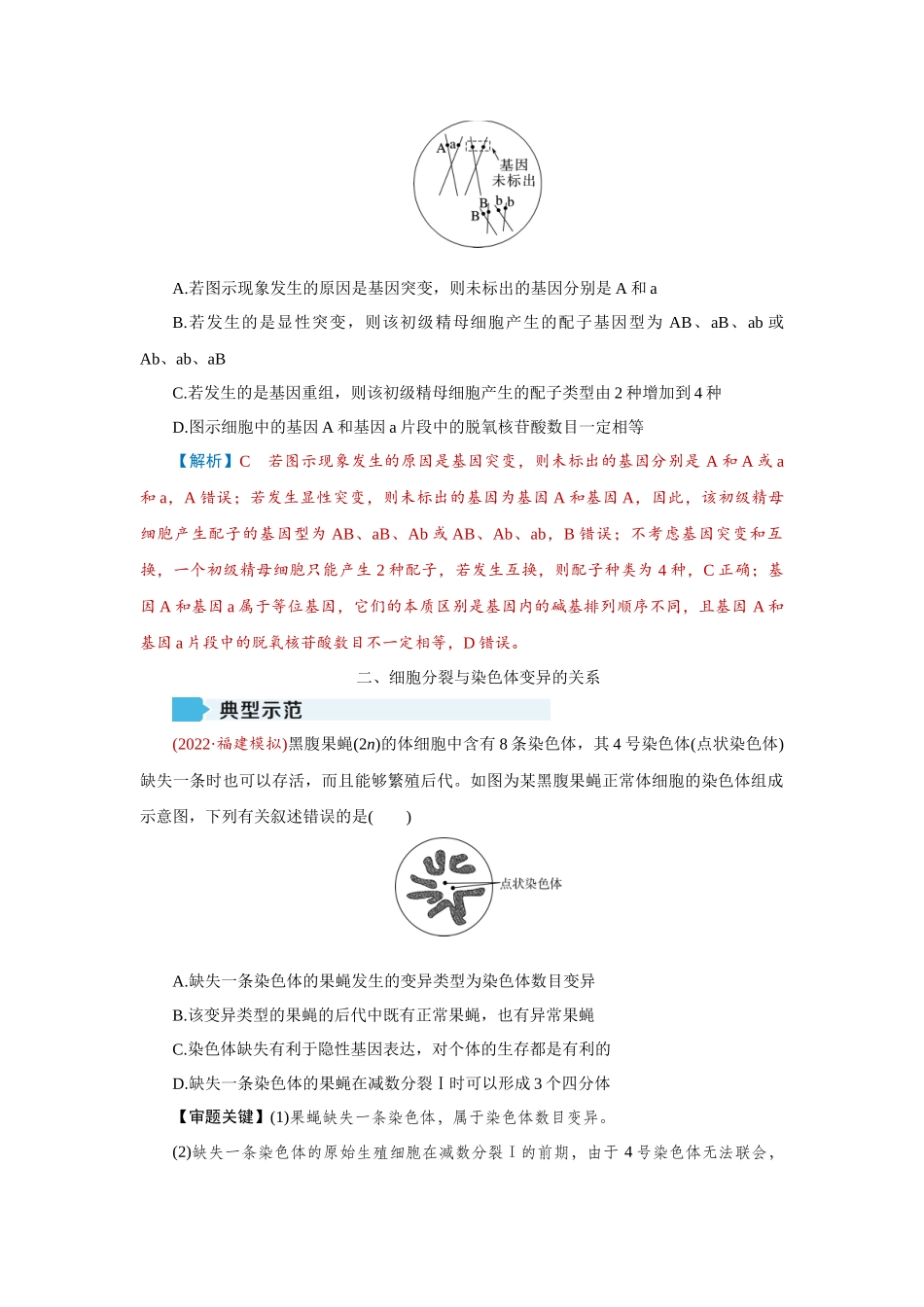 2026届学海导航高考一轮总复习生物教师用-专题7 微专题六　细胞分裂与遗传变异的关系.docx_第3页