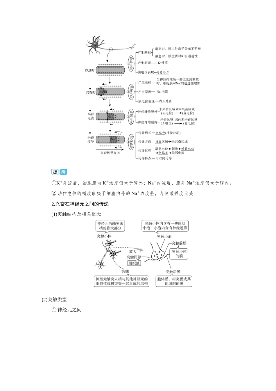 2026届学海导航高考一轮总复习生物教师用-专题8 第3讲　神经调节(二)——神经冲动的产生和.docx_第2页