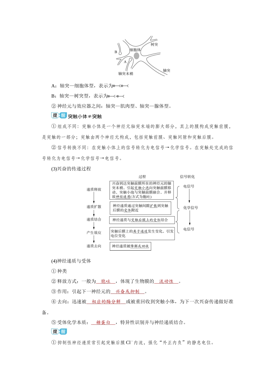 2026届学海导航高考一轮总复习生物教师用-专题8 第3讲　神经调节(二)——神经冲动的产生和.docx_第3页