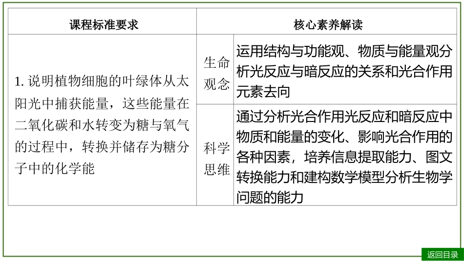 2026届学海导航高考一轮总复习生物-专题3 第3讲 捕获光能的色素和结构、光合作用的原理（2个考点）.pptx_第3页
