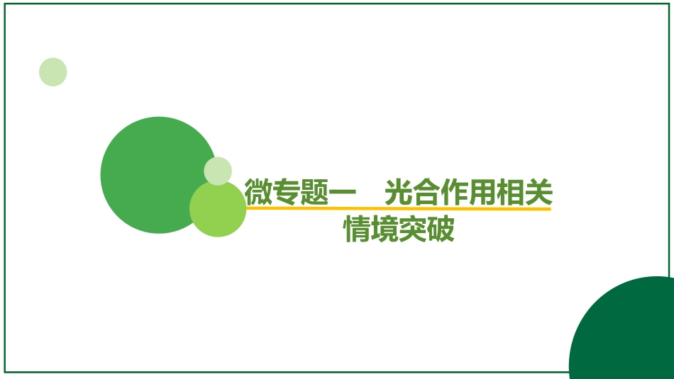2026届学海导航高考一轮总复习生物-专题3 微专题1  光合作用相关情境突破（3个点）.pptx_第2页