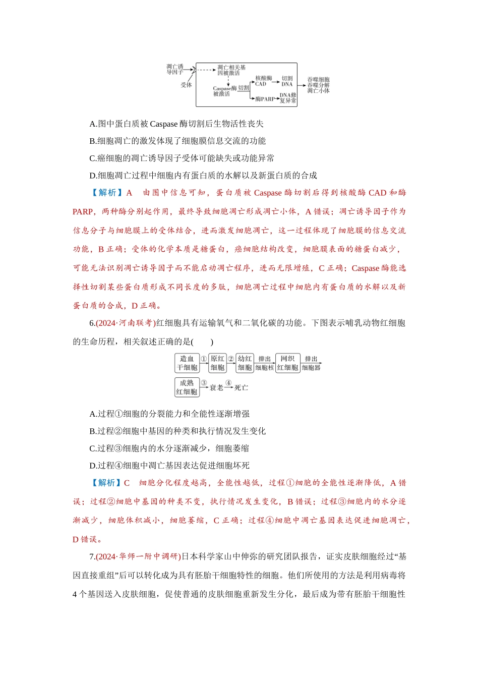 2026届学海导航高考一轮总复习生物-专题4 第3讲　细胞的分化、衰老和死亡.doc_第3页
