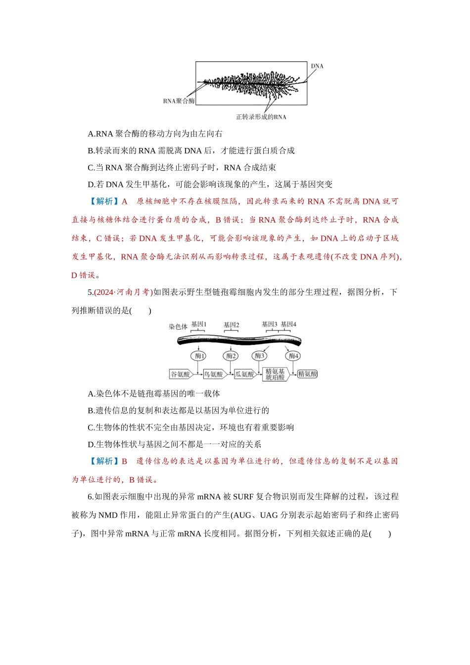 2026届学海导航高考一轮总复习生物-专题6 第3讲　基因的表达.doc_第2页
