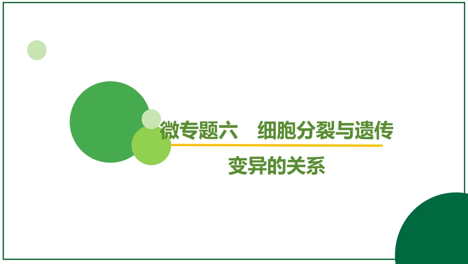 2026届学海导航高考一轮总复习生物-专题7 微专题6 细胞分裂与遗传变异的关系（2个点）.pptx_第2页