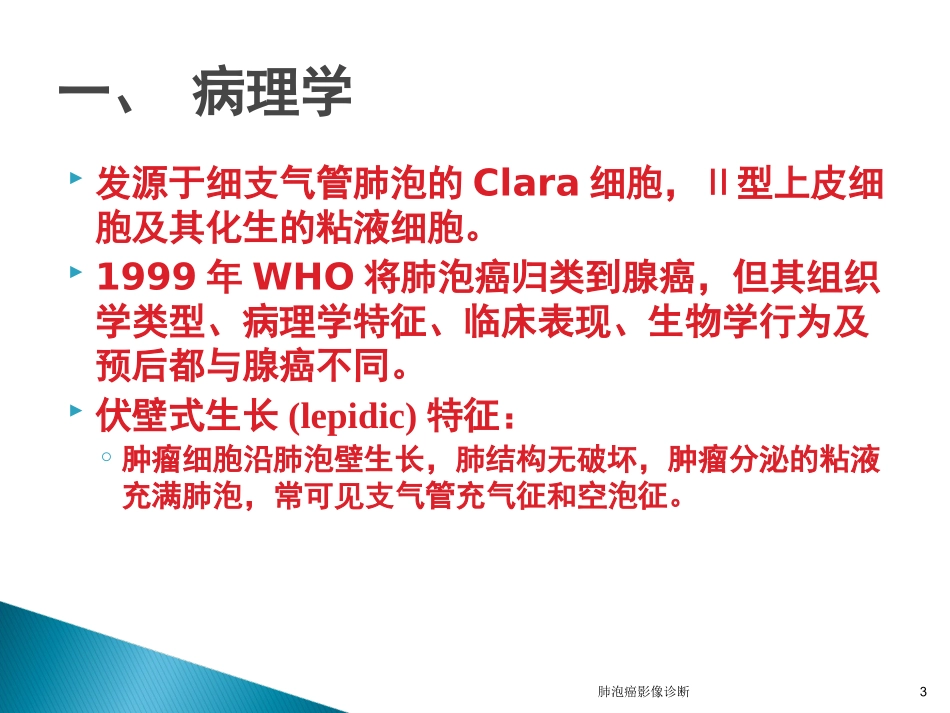 肺泡癌影像诊断培训课件.pptx_第3页