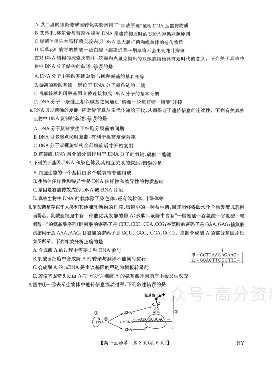 河南省南阳市九师联考2024-2025学年高一下学期6月期末生物试题.pdf_第2页