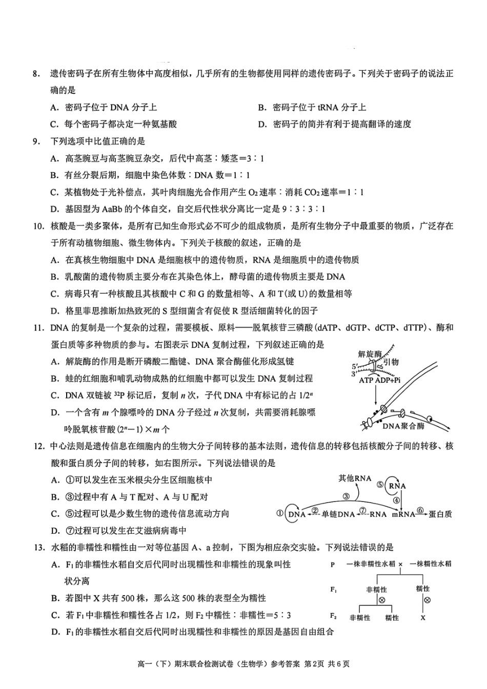 生物+答案-2025年春高一（下）期末康德联合检测试卷.pdf_第2页