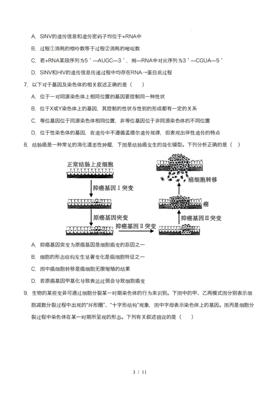 生物模拟卷【黑吉辽蒙卷卷】【高一下期末考】黑吉辽蒙四省2024-2025高一下学期理科期末测试（6.18-6.19）.pdf_第3页
