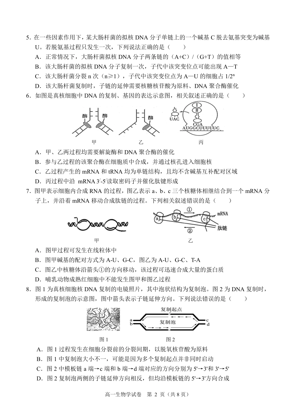 生物试卷【广西卷】【高一下期末考】广西壮族自治区考阅评南宁部分学校2025年春季学期高一年级期末教学质量监测（6.30-7.1）.pdf_第2页