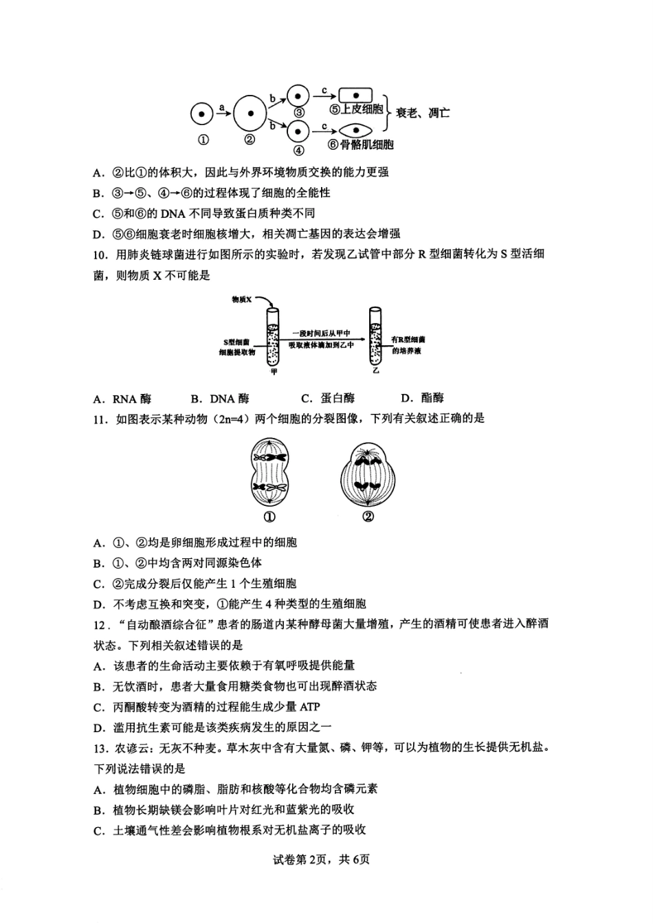 生物试题卷｜2506慈溪高一下期末统考【浙江卷】【高一下期末考】浙江省慈溪市2024学年第二学期高一年级6月期末测试卷（6.25-6.27）.pdf_第2页