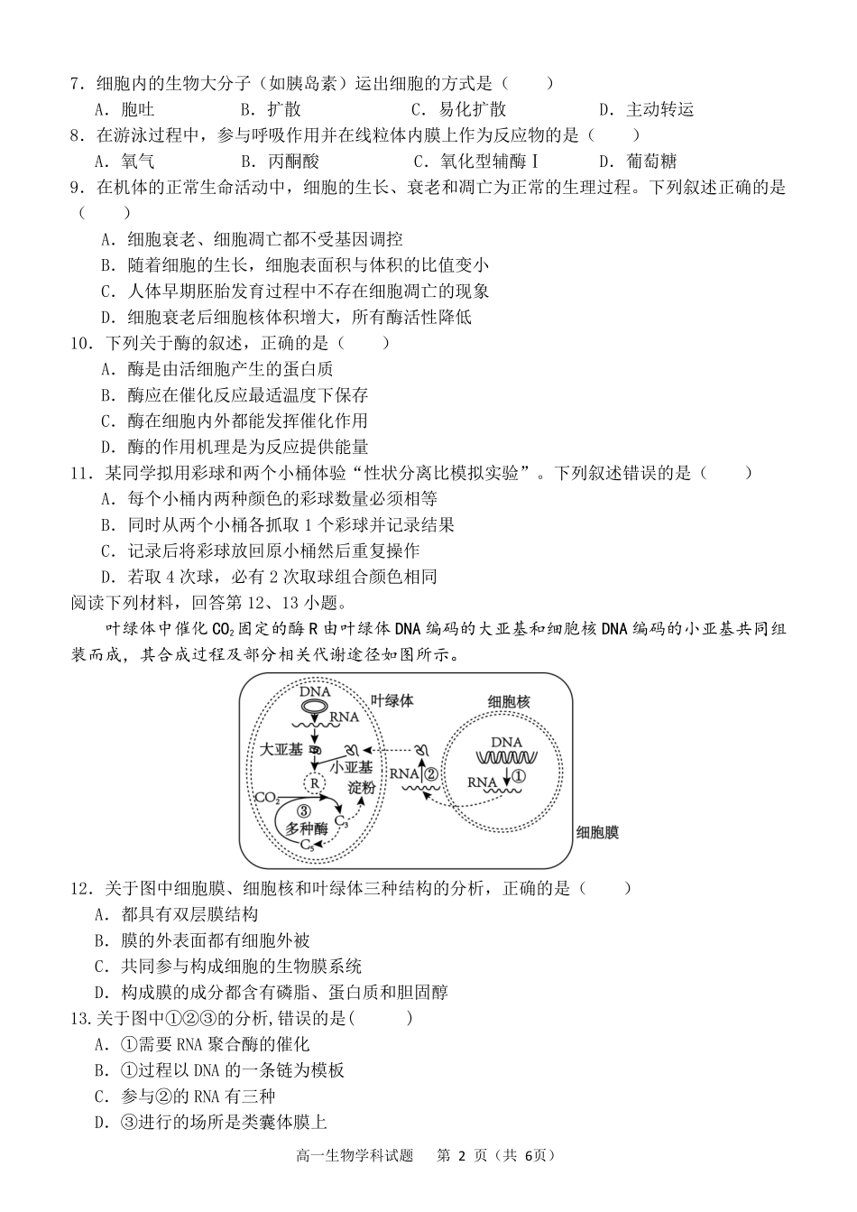 生物试题卷｜宁波三锋教研联盟高一下期末考【浙江卷】【高一下期末考】浙江省2024学年第二学期宁波市三锋教研联盟高一年级期末联考（6.25-6.27）.pdf_第2页