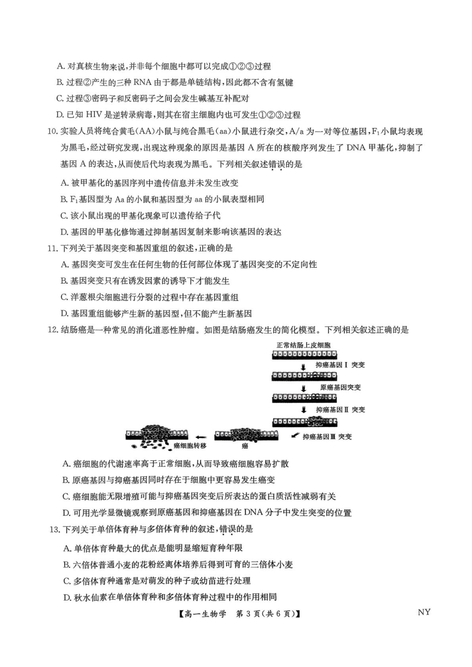 生物试题卷+答案【河南卷】【高一下期末考】河南省南阳市九师联盟（部分学校）2024-2025学年高一下学期6月期末质量检测联考（下标NY）（6.19-6.20）.pdf_第3页