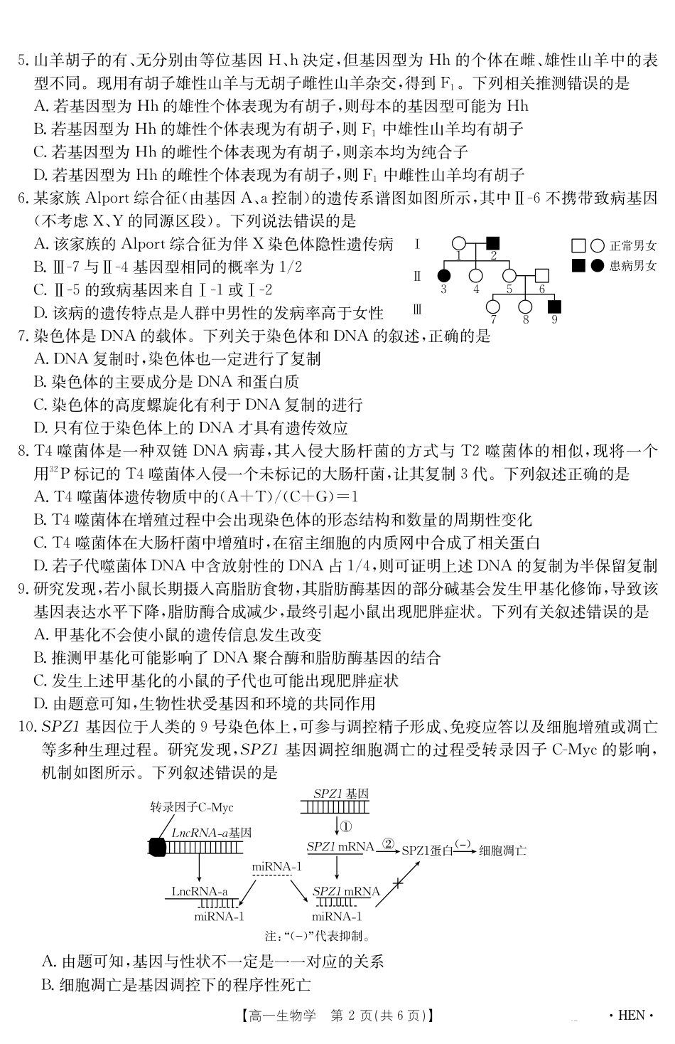 生物学试卷（HEN）【河南卷】【高一下期末考】河南省金太阳2024-2025学年高一下学期6月百万大联考（金太阳25-003A）（7.1-7.2）.pdf_第2页