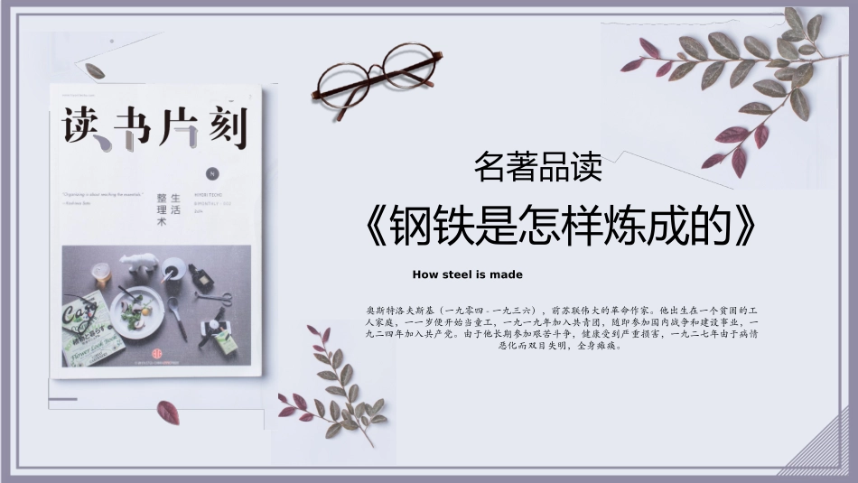 钢铁是怎样炼成的读书分享.pptx_第1页