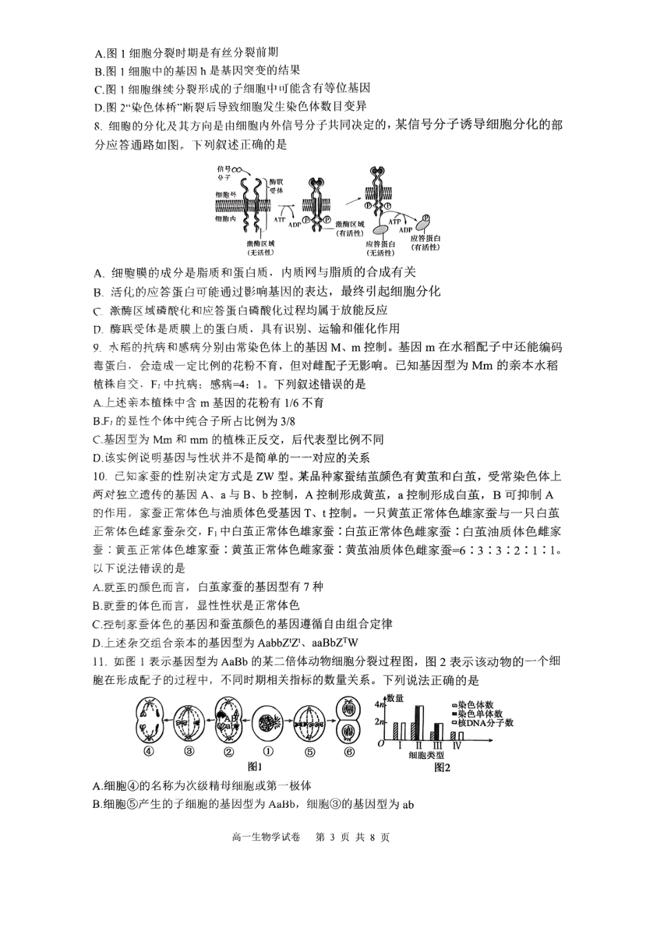 重庆市巴蜀中学教育集团高2027届高一（下）期末考试巴蜀中学高一下期末考试生物.pdf_第3页