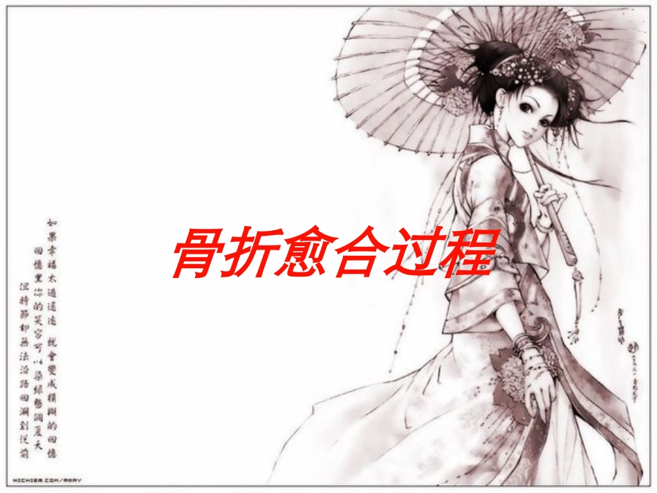 骨折愈合过程培训课件.pptx_第1页