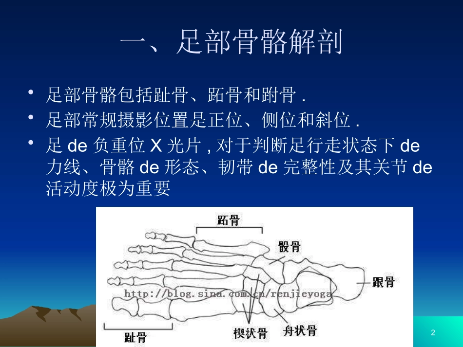 足踝部X线检查培训课件.pptx_第2页