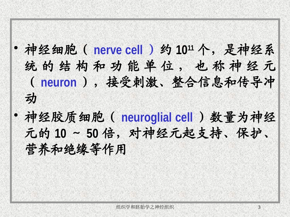 组织学和胚胎学之神经组织培训课件.pptx_第3页