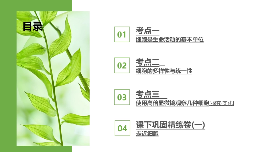 2026版正禾一本通高三一轮总复习生物-第1讲  走近细胞.pptx_第3页