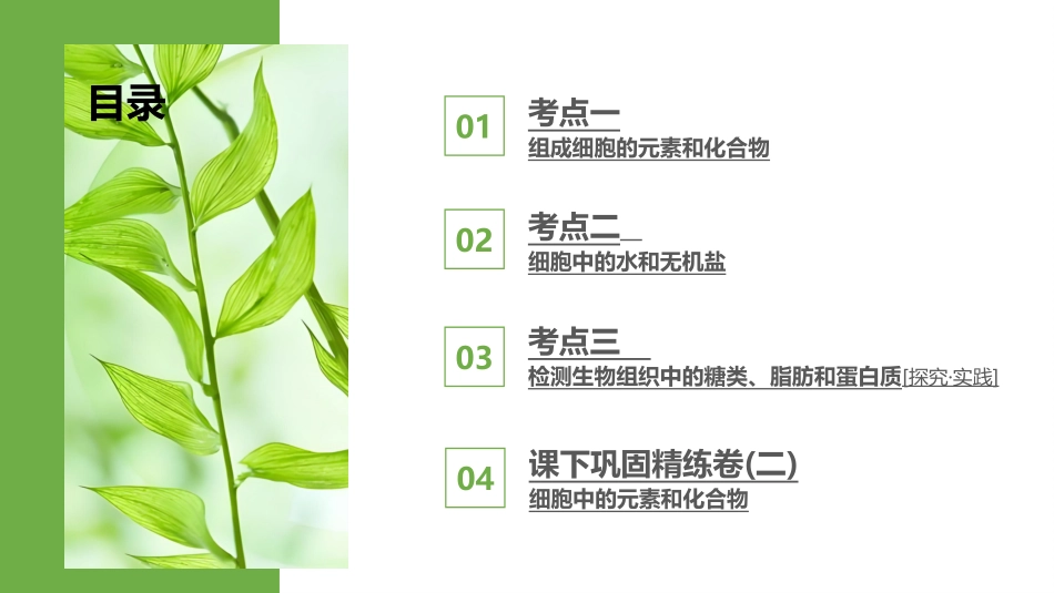 2026版正禾一本通高三一轮总复习生物-第2讲  细胞中的元素和化合物.pptx_第3页