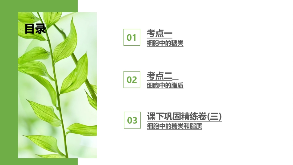 2026版正禾一本通高三一轮总复习生物-第3讲  细胞中的糖类和脂质.pptx_第3页