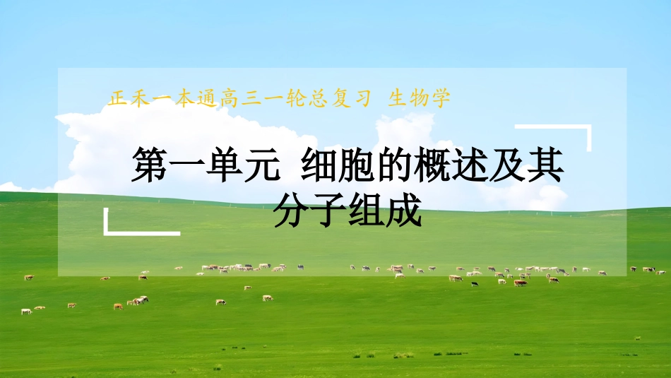 2026版正禾一本通高三一轮总复习生物-第4讲  蛋白质是生命活动的主要承担者.pptx_第1页