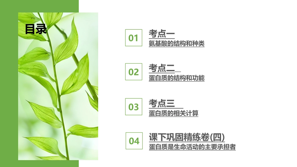 2026版正禾一本通高三一轮总复习生物-第4讲  蛋白质是生命活动的主要承担者.pptx_第3页