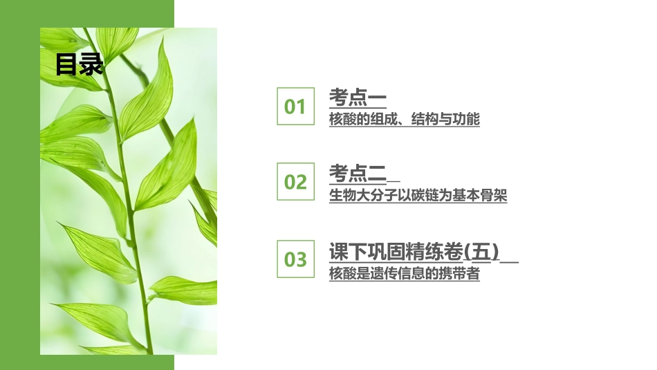 2026版正禾一本通高三一轮总复习生物-第5讲  核酸是遗传信息的携带者.pptx_第3页