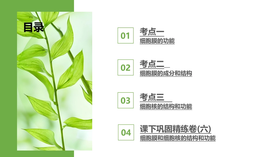2026版正禾一本通高三一轮总复习生物-第6讲  细胞膜和细胞核的结构和功能.pptx_第3页