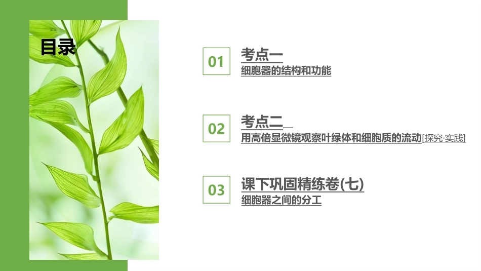 2026版正禾一本通高三一轮总复习生物-第7讲  细胞器之间的分工.pptx_第3页