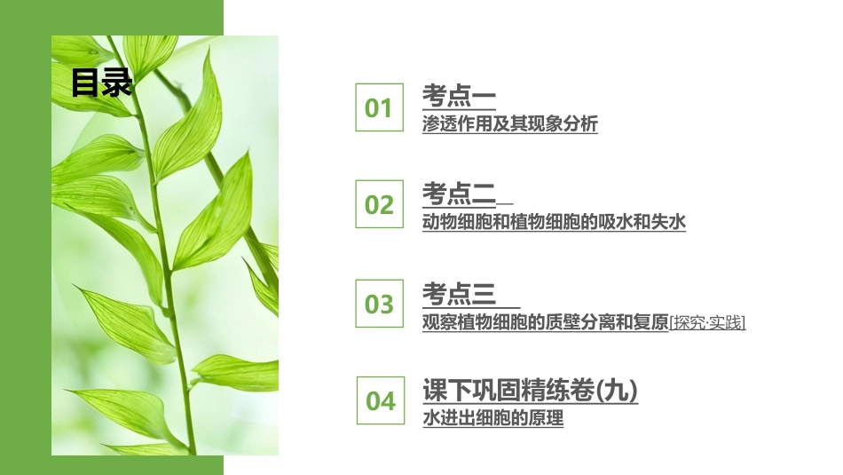 2026版正禾一本通高三一轮总复习生物-第9讲  水进出细胞的原理.pptx_第3页