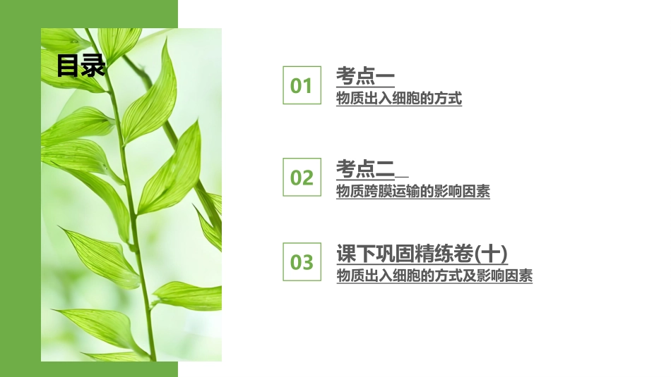 2026版正禾一本通高三一轮总复习生物-第10讲  物质出入细胞的方式及影响因素.pptx_第3页