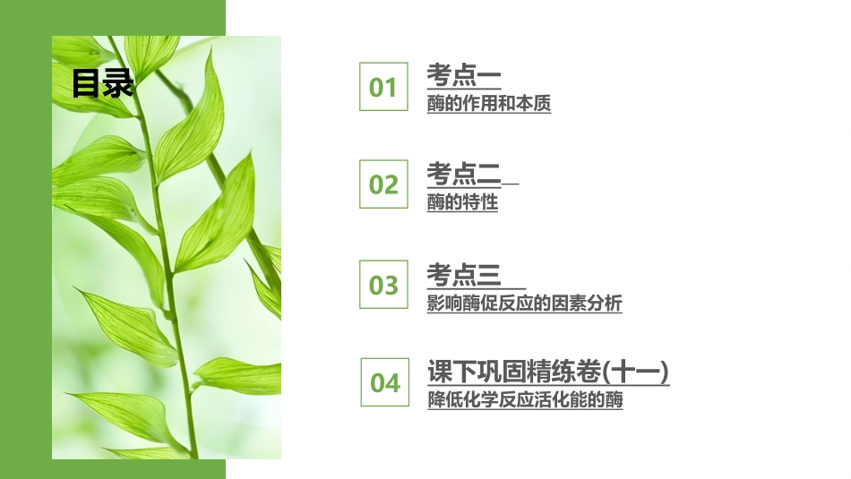 2026版正禾一本通高三一轮总复习生物-第11讲  降低化学反应活化能的酶.pptx_第3页