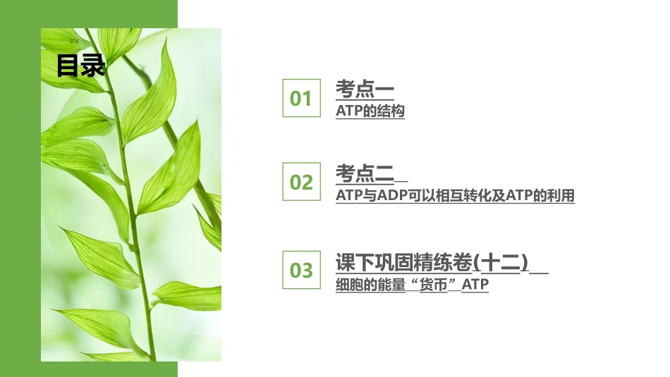 2026版正禾一本通高三一轮总复习生物-第12讲  细胞的能量“货币”ATP.pptx_第3页