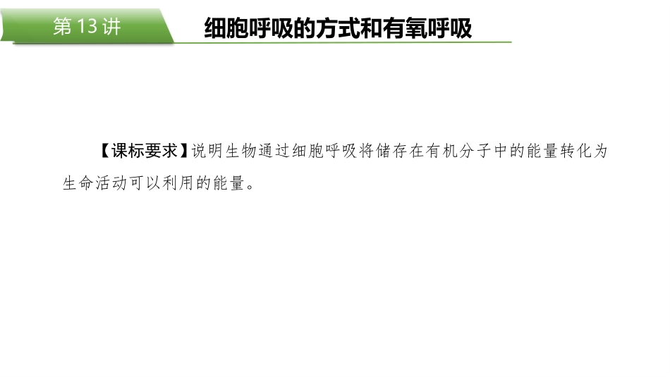 2026版正禾一本通高三一轮总复习生物-第13讲  细胞呼吸的方式和有氧呼吸.pptx_第2页